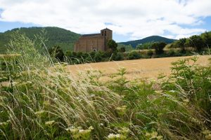 BAGÜES (2)
