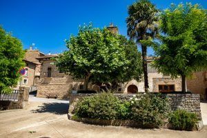 LOBERA DE ONSELLA (4)