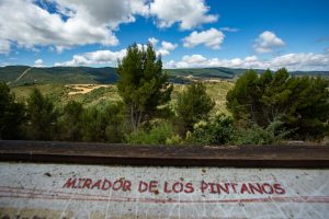 LOS PINTANOS (3)