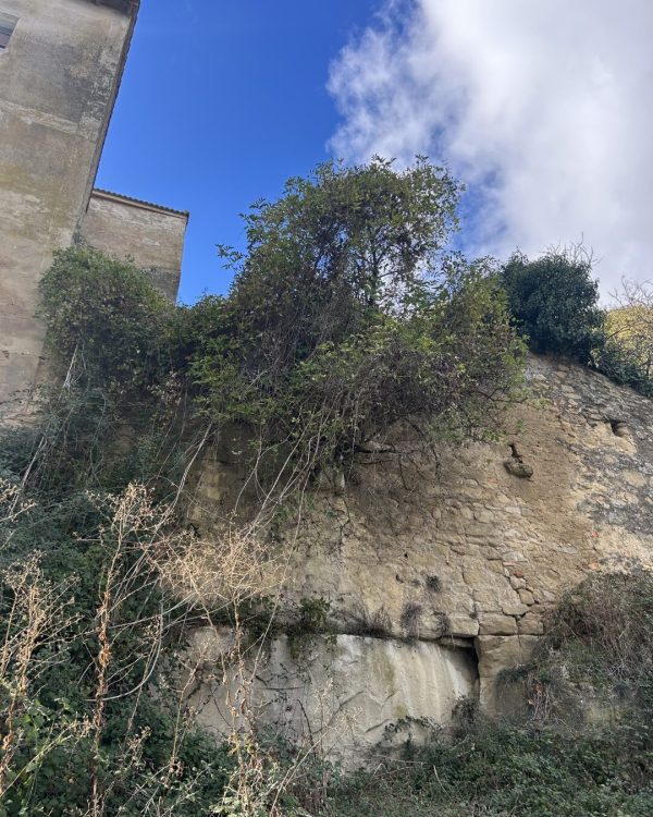 LUNA-9031-22-rotated