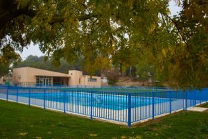 _MG_0248 (1)