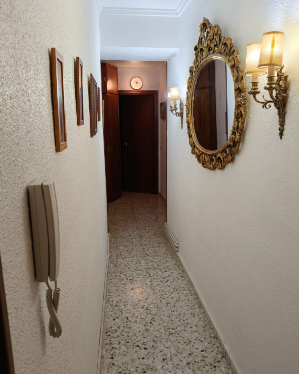 WhatsApp Image 2025-06-26 at 09.17.44