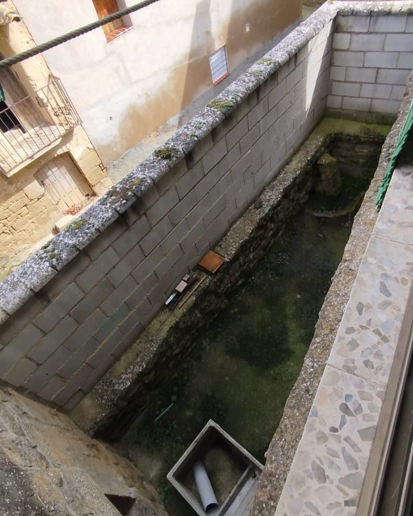 WhatsApp Image 2025-07-01 at 12.56.22