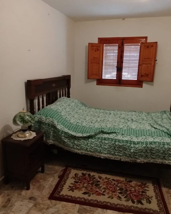 WhatsApp Image 2025-07-11 at 14.33.55 (3)