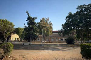 WhatsApp Image 2025-08-06 at 07.42.57