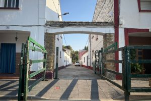 WhatsApp Image 2025-08-06 at 07.42.59