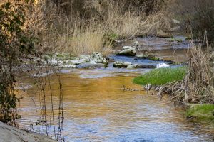 WhatsApp Image 2025-08-07 at 13.09.02