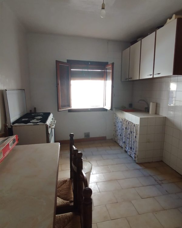 WhatsApp Image 2026-08-26 at 15.03.19 (2)