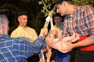 ????????????????????????????????????